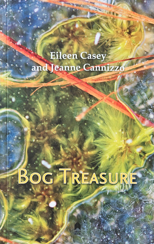 Bog Treasure by Eileen Casey and Jeanne Cannizzo Published by Arlen House