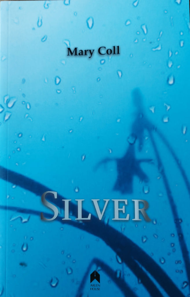 Silver by Mary Coll. Arlen House, 2017.