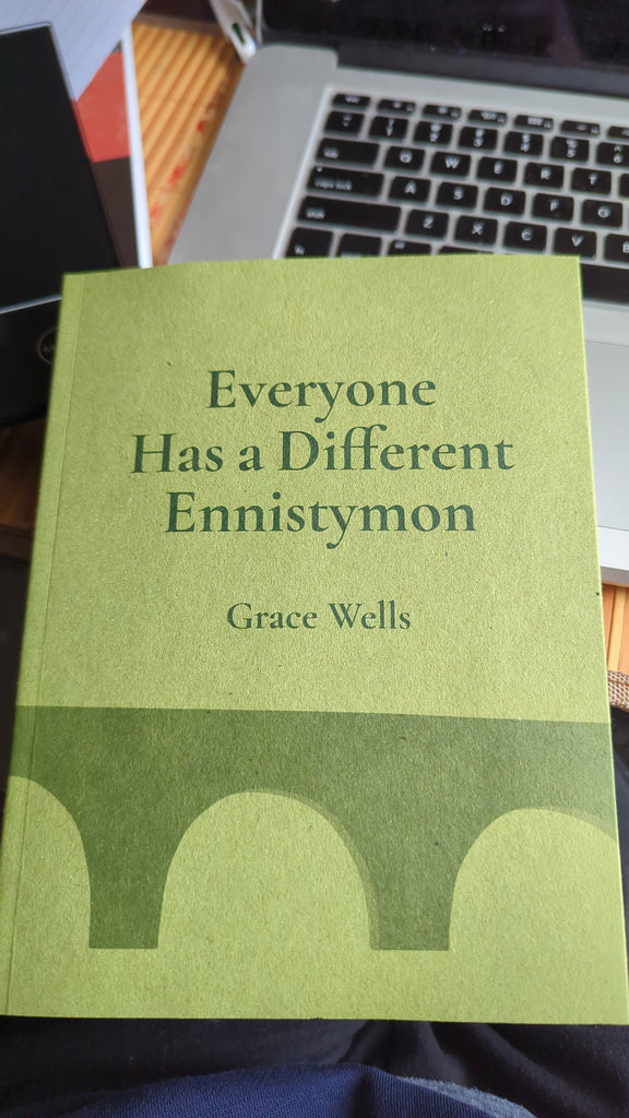 Everyone Has a Different Ennistymon by Grace Wells. 1st Edition, Published by Doolin Arts, 2023.