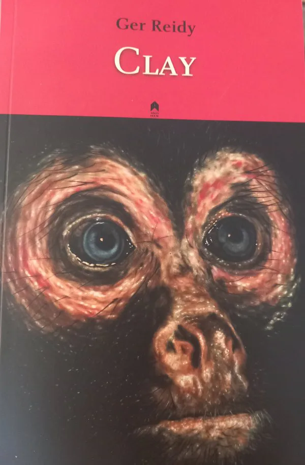 Clay By Ger Reidy Published By Arlen House
