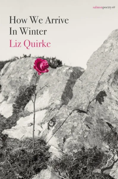 How We Arrive In Winter - Poems by Liz Quirke