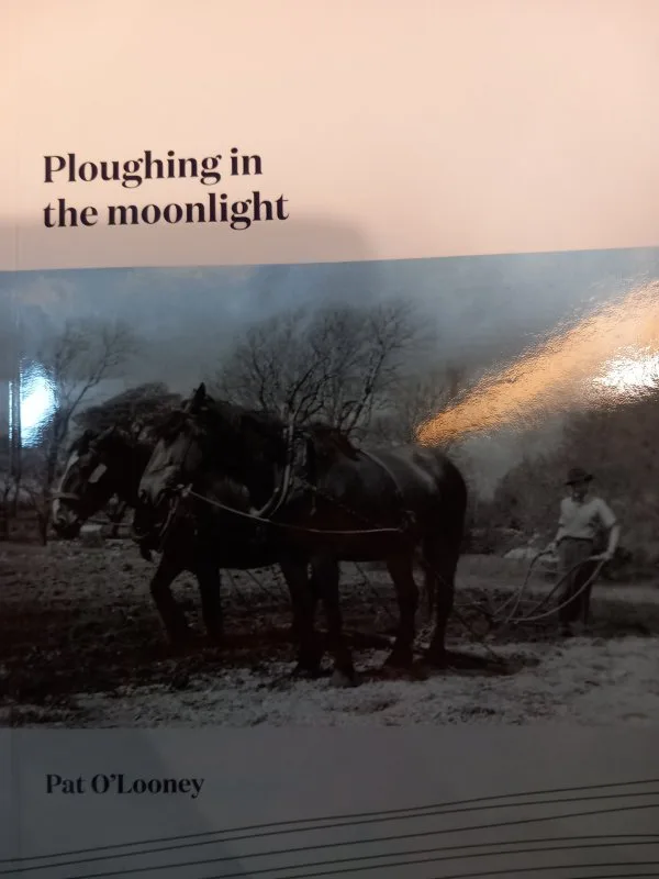 Ploughing in the Moonlight